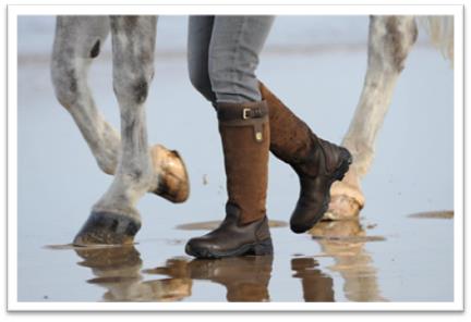 Mountain Horse Forest Highlander Boot in Brown