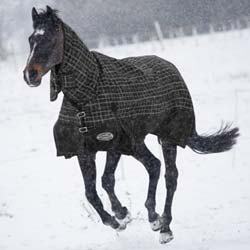 Shires StormBreaker Turnout Blanket