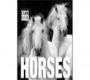 Cube Book - Horses By Valeria Manferto De Fabianis