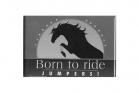 Born To Ride Jumpers Magnet