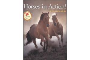 Horses in Action! A Poster Book, Softcover | ISBN-10: 978-1-58017-666-8| ISBN-13: 9781580176668