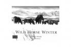 ZZZ - Wild Horse Winter by Tetsuya Honda