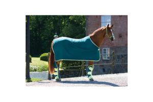 Amigo Jersey Cooler With Attached Surcingle in Teal and Lemon