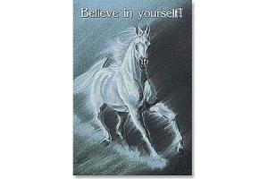 Believe in Yourself Horse Magnet