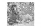 ZZZ - Sleep Pony Dreams by Gudrun Ongman