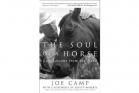 ZZZ - The Soul of a Horse by Joe Camp