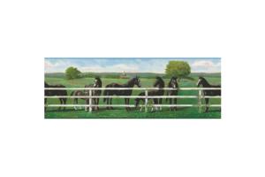 Saddle Up RU8243B Wallpaper Border by York