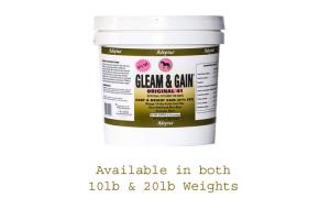 Adeptus Gleam & Gain Original 41 Equine Coat and Calorie Formula Nutrition 