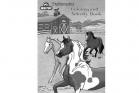 Breyer Stablemates Color and Activity Book by ALecia Underhill, Softcover| 4160 | ISBN: 019756041601