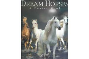 Dream Horses: A Poster Book,Softcover | ISBN-10: 978-1-58017-574-6| ISBN-13: 9781580175746