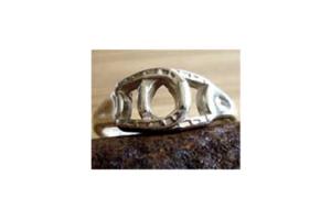 Interlocking Horseshoe Ring by Eimer Designs
