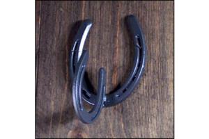 Horseshoe Coat Hook