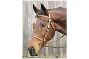 Henri De Rivel Oakbark Pro Plain Raised Bridle