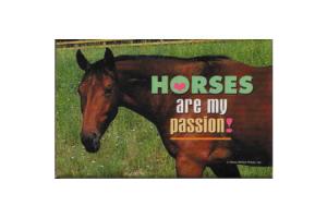 Horses Are My Passion Magnet