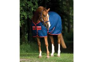 Amigo Mio Stable Sheet in Navy and Red