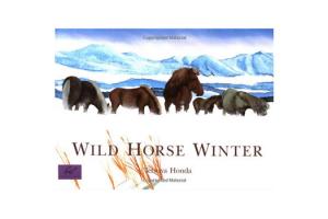 Wild Horse Winter, Softcover |ISBN-10: 0-8118-1211-1|ISBN-13: 9780811812115
