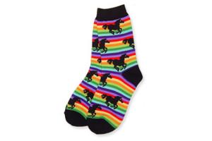 Horse Socks in Rainbow
