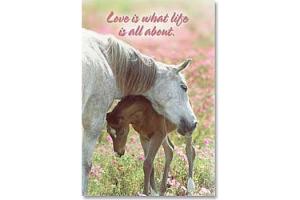 Love Is What Life Is All About Horse Magnet