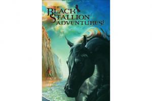 Black Stallion Adventure Set