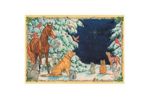 Starry Night Boxed Christmas Cards