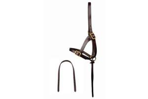 Walsh Grow With Me Foal Halter