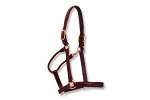 Walsh Padded Leather Halter in Chestnut