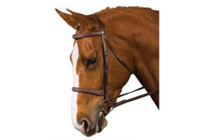 Collegiate Fancy Stitched Brown Padded Bridle