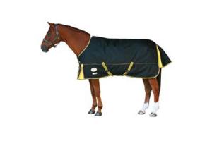 Weatherbeeta Orican Freestyle Standard Neck Medium 220g Turnout in Black and Gold 