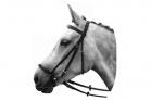 Vespucci Double Raised Dropped Noseband Black