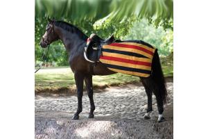 Rambo Newmarket Fleece Competition Sheet in Whitney Stripe and Gold 