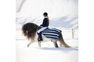 Rambo Newmarket Fleece Competition Sheet in Whitney Stripe and Navy