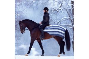 Rambo Newmarket Fleece Competition Sheet in Whitney Stripe and Charcoal