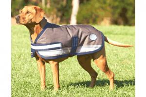 Weatherbeeta Joules 600D (220g) Dog Blanket in Sabrina Stripe
