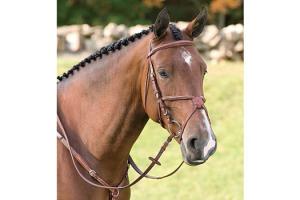 Vespucci Fancy Raised Jumper Bridle with Figure 8