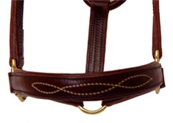 Walsh Padded Leather Halter