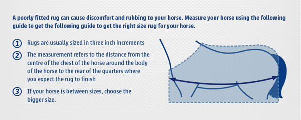 Weatherbeeta Joules 600D Lite Turnout Sheet in Fiona Spots