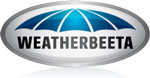 Weatherbeeta Orican Freestyle Standard Neck Medium 220g Turnout in Black and Gold 
