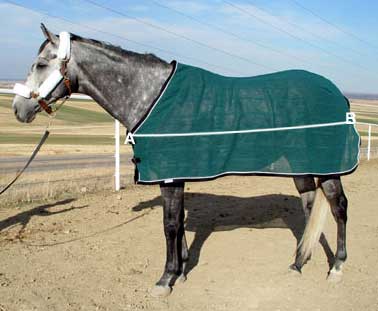 What Size Horse Blanket Do I Need 