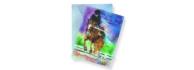 horse themed cards, horse themed gift bags