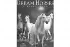 ZZZ - Dream Horses: A Poster Book by Bob Langrish
