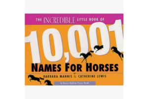 The Incredible Little Book of 10,001 Names for Horse, Softcover |ISBN-10: 0-9638814-3-4 |ISBN-13: 08255655002
