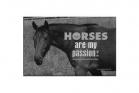 ZZZ - Horses Are My Passion! Magnet