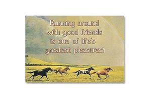 Running with Friends Horse Magnet