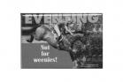 Eventing Not For Weenies! Magnet