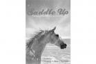 Saddle Up: Thoroughbred Horse Stories by Christine Pullein-Thompson