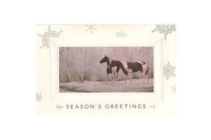 Snow Scenes Boxed Christmas Cards