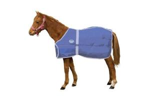Weatherbeeta Newborn Foal Adjustable Blanket in Royal and Wisteria