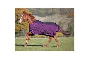 Shires Winter Typhoon 220g Turnout in Purple